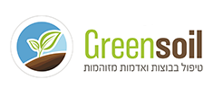 דקל גרינסויל